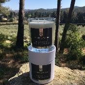 Bougie Parfume 240gr Figue de Provence