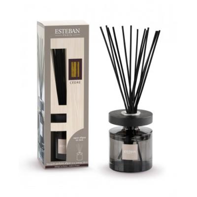 NOUVEAU Bouquet parfumé Ellipse  Cèdre