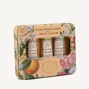 Coffret soin des mains Les Absolues