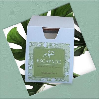 ESCAPADE Bougie Parfumée 170gr ANANAS GIVRE