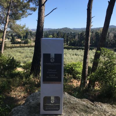 Diffuseur d'Ambiance 100ml Fleur de Cerisier