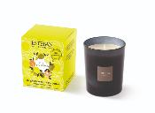 Bougie parfumée rechargeable 170gr Terre d'Agrumes