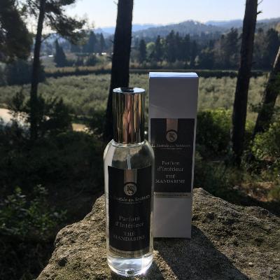 Parfum d'Intérieur 100ml Thé - Mandarine