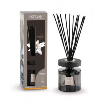 NOUVEAU Bouquet parfumé Ellipse Néroli
