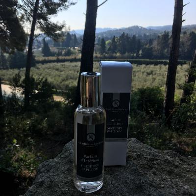 Parfum d'Intérieur 100ml Orchidée Papillon