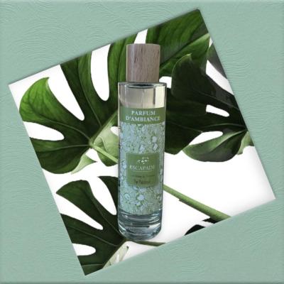 ESCAPADE Parfum d'Ambiance 100ml PUR PATCHOULI