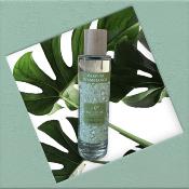 ESCAPADE Parfum d'Ambiance 100ml JACINTHE BLEUE