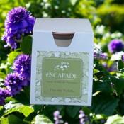 ESCAPADE Bougie Parfumée 170gr DISCRETE VIOLETTE