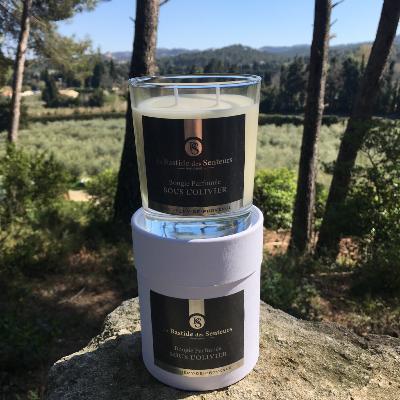 Bougie Parfumée 240gr Sous l'Olivier