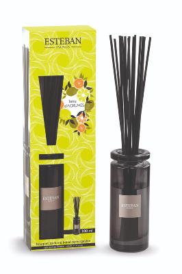 Bouquet parfumé initial Terre d'Agrumes 75ml
