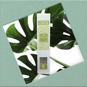 ESCAPADE Diffuseur d'Ambiance 100ml COCOONING