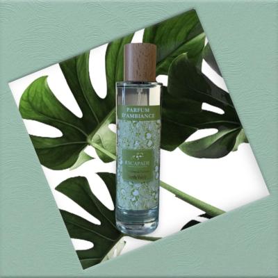 ESCAPADE Parfum d'Ambiance 100ml DISCRETE VIOLETTE