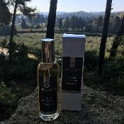 Parfum d'Intérieur 100ml Vanille
