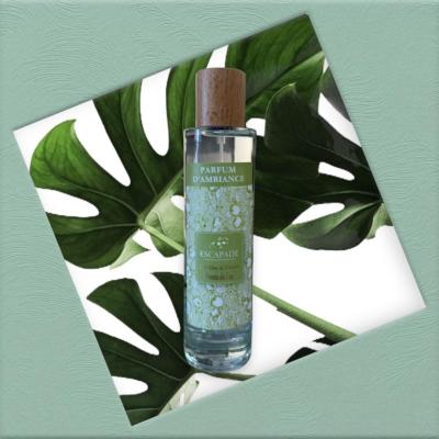 ESCAPADE Parfum d'Ambiance 100ml FREESIA DU CAP