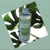 ESCAPADE Recharge Diffuseur 100ml FORÊT DE SAPINS