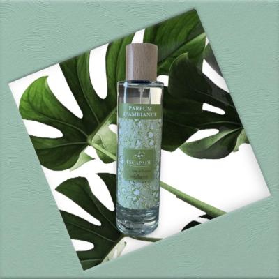 ESCAPADE Parfum d'Ambiance 100ml VANILLE BOURBON