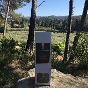 Diffuseur d'Ambiance 100ml Verveine