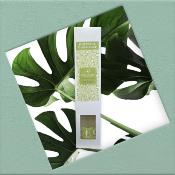 ESCAPADE Diffuseur d'Ambiance 100ml FORÊT DE SAPINS