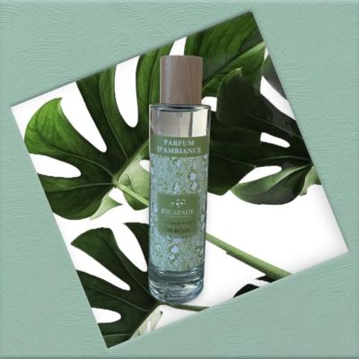 ESCAPADE Parfum d'Ambiance 100ml ROUTE DES EPICES