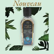 NOUVEAU RECHARGE 250 ML LE SONGE D'UNE NUIT D'ETE