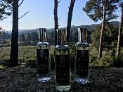 Parfum d'Intérieur 100ml Fleur d'Oranger