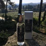 Parfum d'Intérieur 100ml Lotus