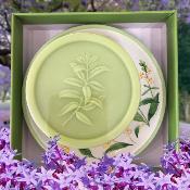 Savon + Porte-Savon Verveine Citronnée