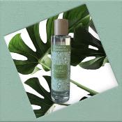 ESCAPADE Parfum d'Ambiance 100ml ZESTE D'AGRUMES