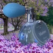 Vapo Poire 12ml Marine