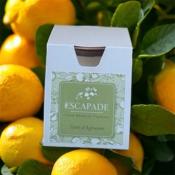 ESCAPADE Bougie Parfumée 170gr ZESTE D'AGRUMES