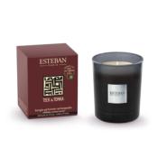 Bougie parfumée rechargeable 180gr Teck et Tonka