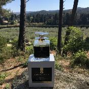 Parfum 100ml Cerisier - Pêche