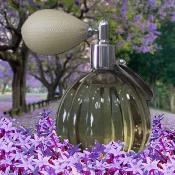 Vapo Poire 60ml Jasmin Blanc