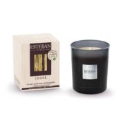 Bougie parfumée rechargeable 180gr Cèdre