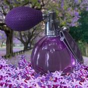 Vapo Poire 12ml Violette Poudrée