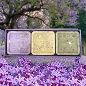 Coffret 3 savons Aquarelle