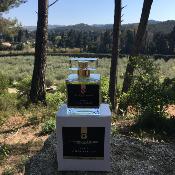 Parfum 100ml Cèdre - Vétiver