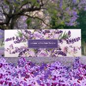Coffret 3 savons Lavande