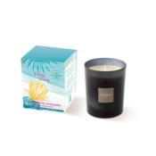 NOUVEAU Bougie parfumée rechargeable 170gr Ylang-Ylang