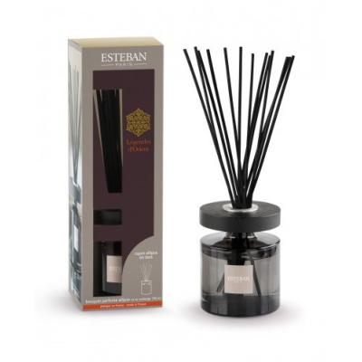 NOUVEAU Bouquet parfumé Ellipse Légende d'Orient