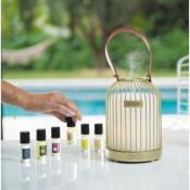 Diffuseur brume de parfum Edition LAMPION OR