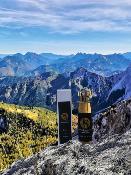 Parfum d'Ambiance 100ml Bois de Gaïac