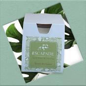 ESCAPADE Bougie Parfumée 170gr ROUTE DES EPICES