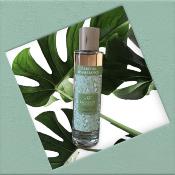 ESCAPADE Parfum d'Ambiance 100ml ANANAS GIVRE