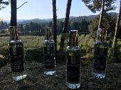 Parfum d'Intérieur 100ml Figue de Provence