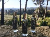 Parfum d'Intérieur 100ml Thé - Mandarine