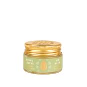BAUME LEVRES AMANDE 12G