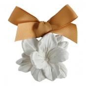 Coffret 5 décors en plâtre parfumés Fleur de Mandarine