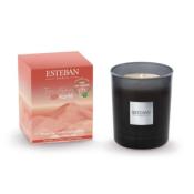 Bougie parfumée rechargeable 180gr Terre d'Ocre Karité