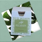ESCAPADE Bougie Parfumée 170gr COCOONING